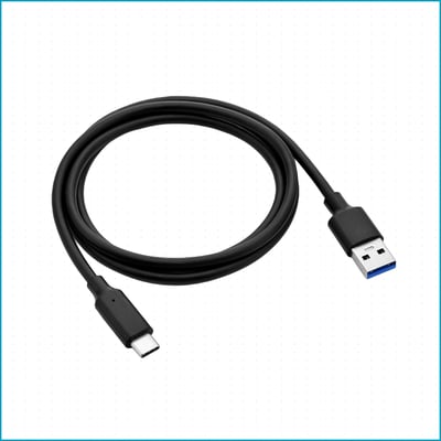 Image of a black USB C to USB A cord